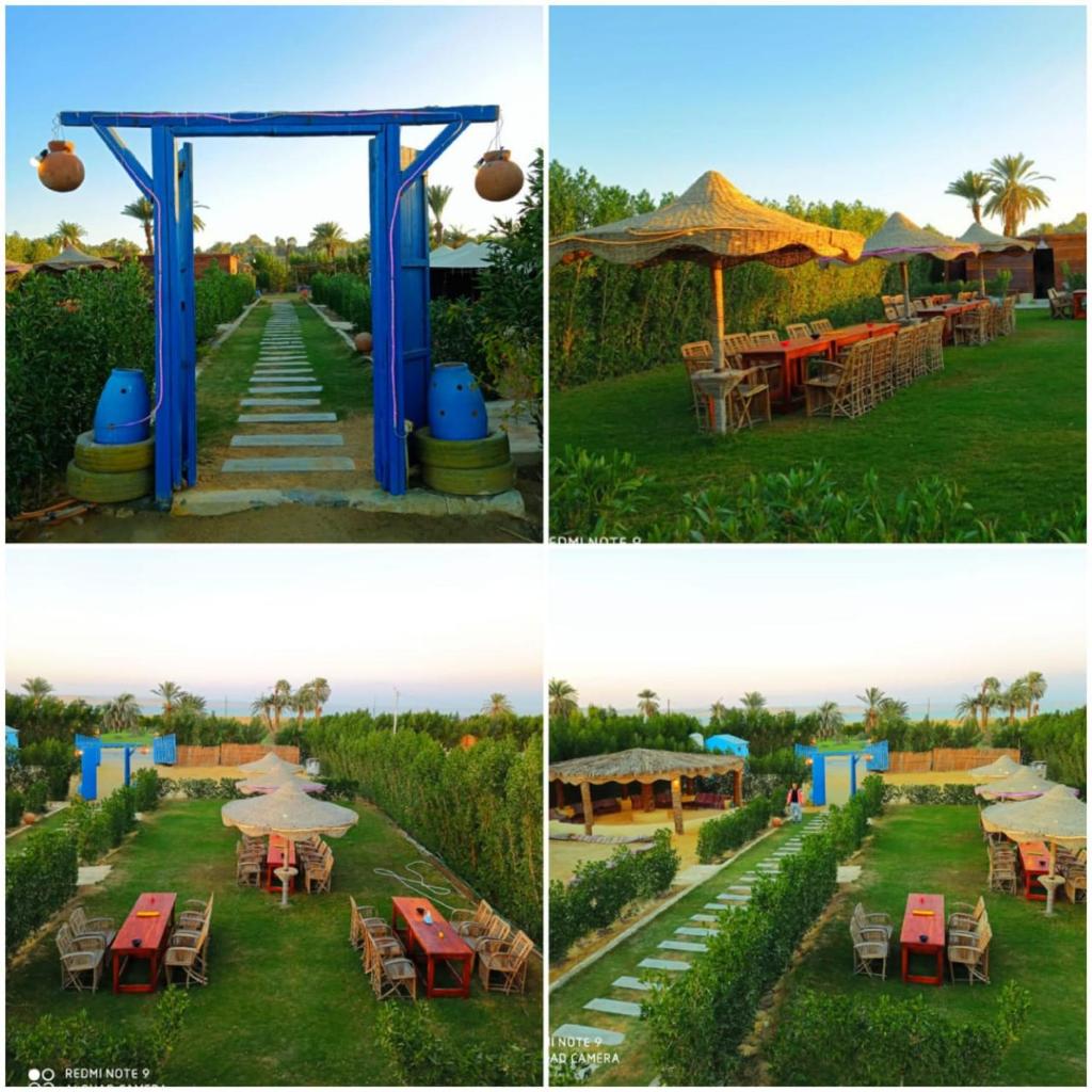 منتجع تونس فاير- Tunis Fire Resort photo 3