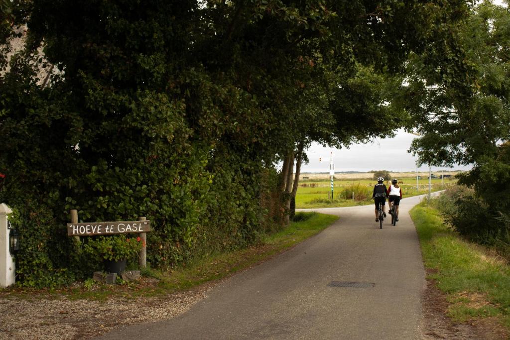 Hoeve te Gast - vakantieboerderij photo 1