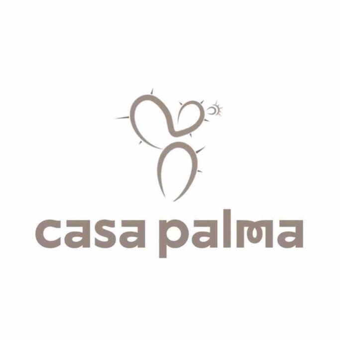 Casa Palma photo 4