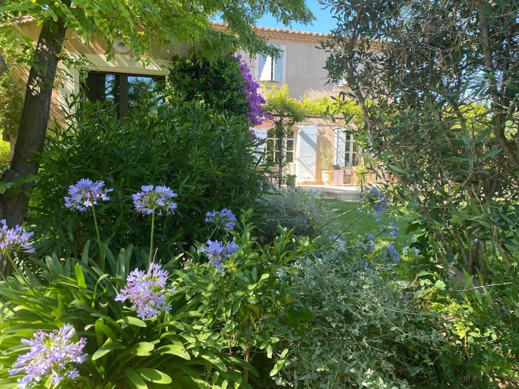 LA PARADOUNE 3 photo 3