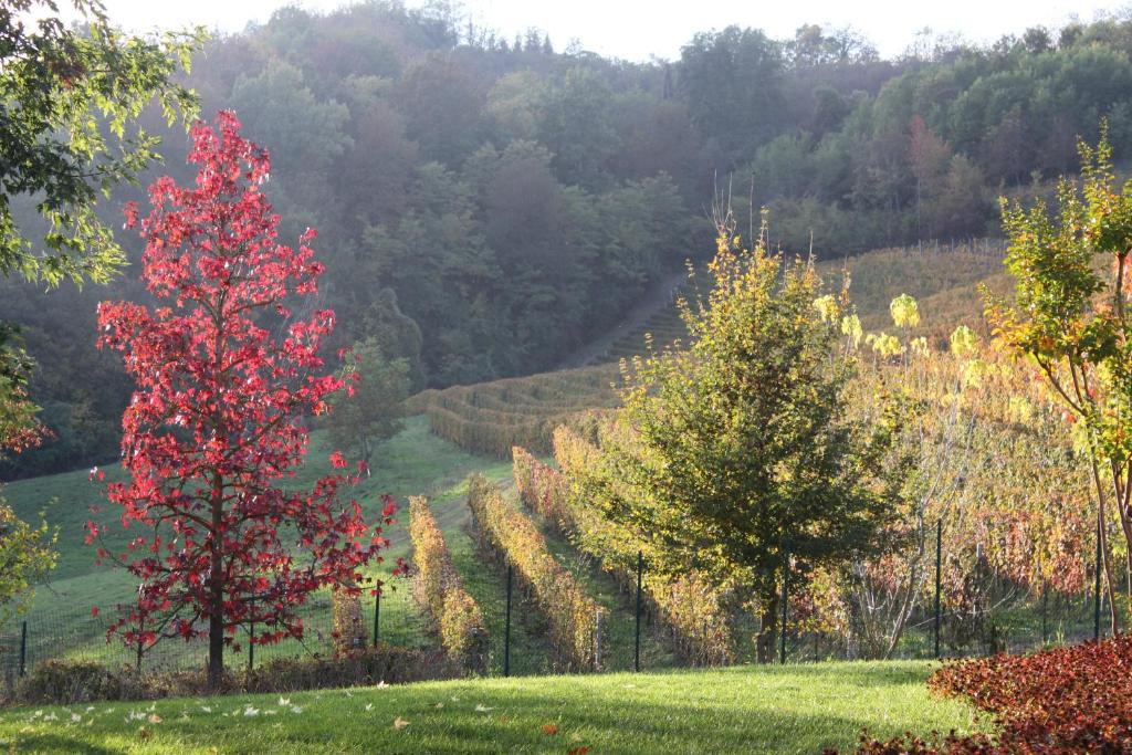 B&B Bricco Fiore photo 3