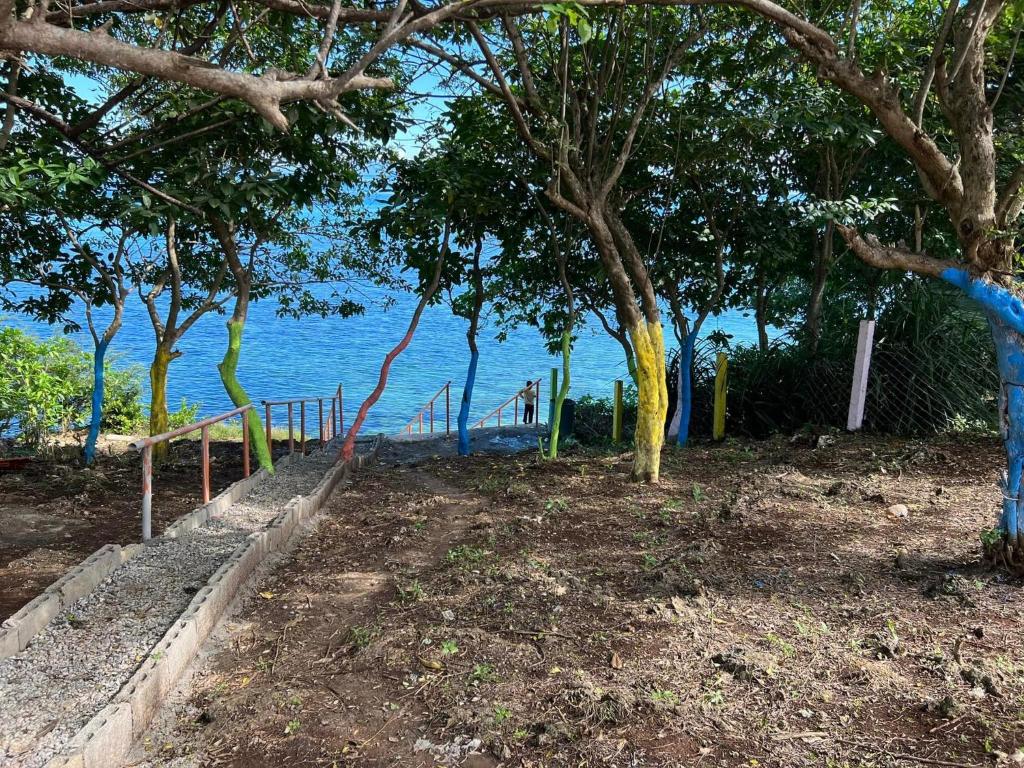 Scott Camotes Beach House photo 1