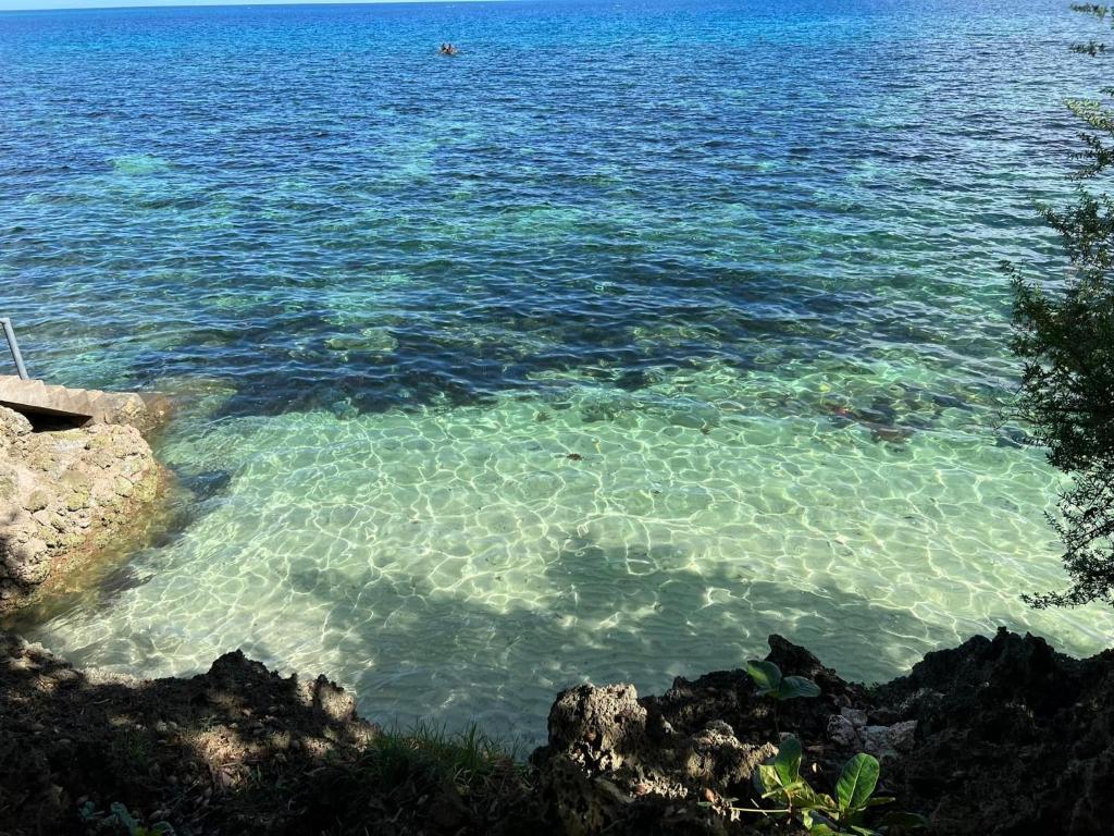 Scott Camotes Beach House photo 2