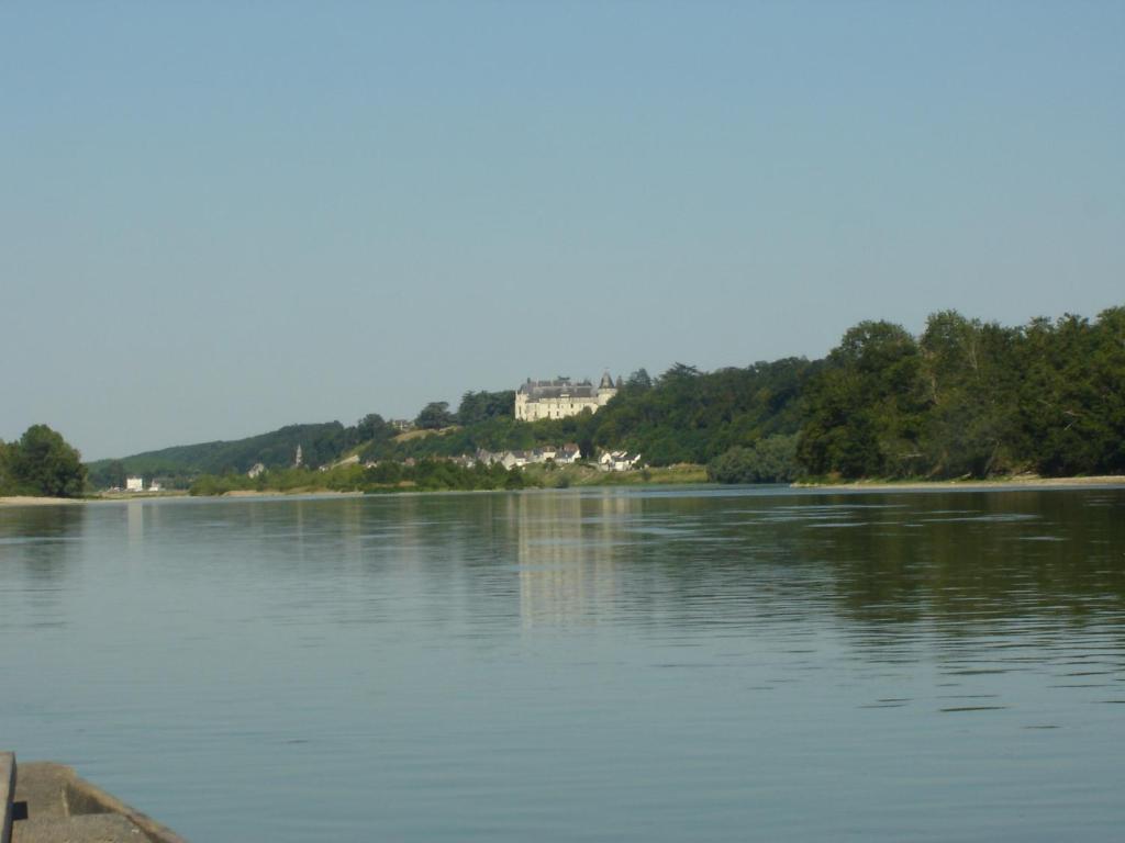 Les Bords de Loire photo 3