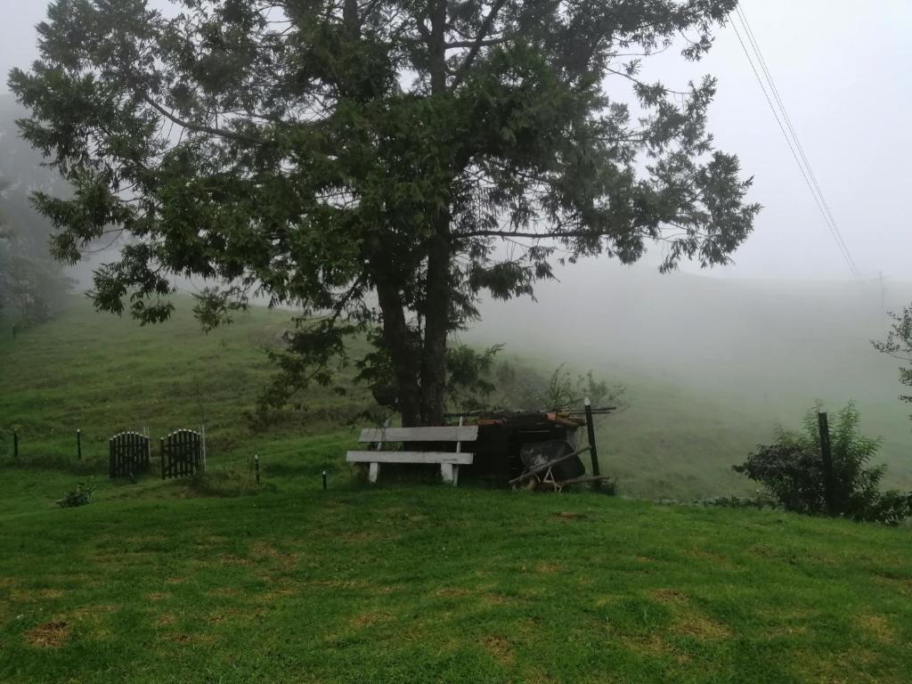 Finca Verde Vivo photo 1