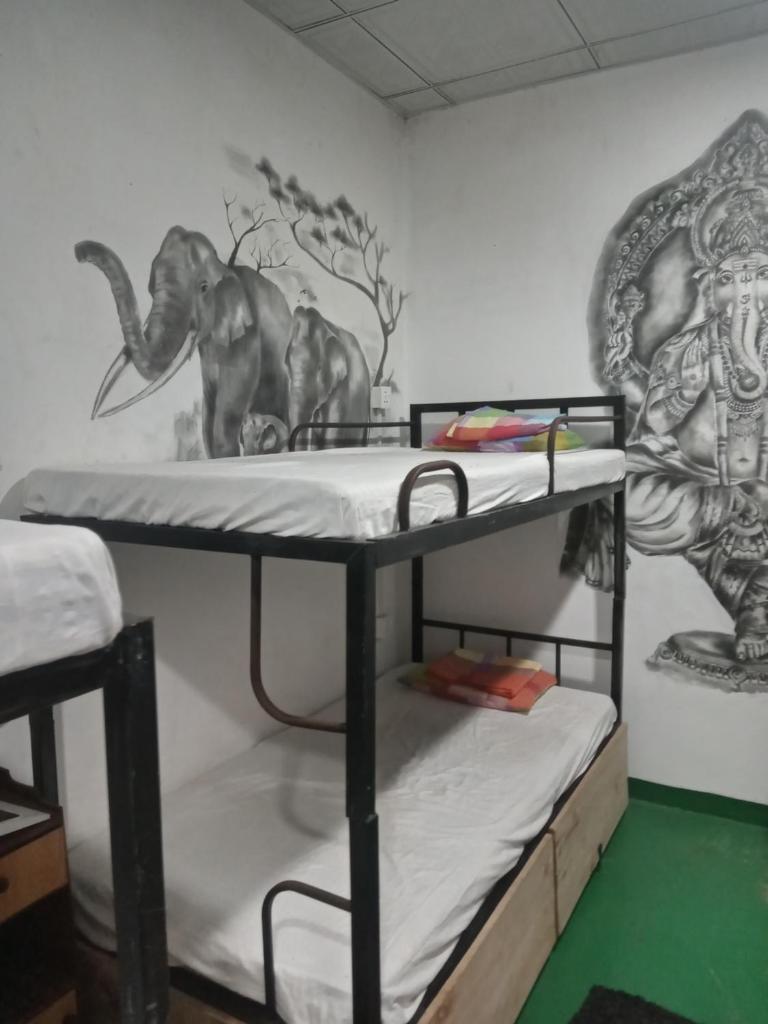 Hostel Taru surf camp and restaurant photo 4