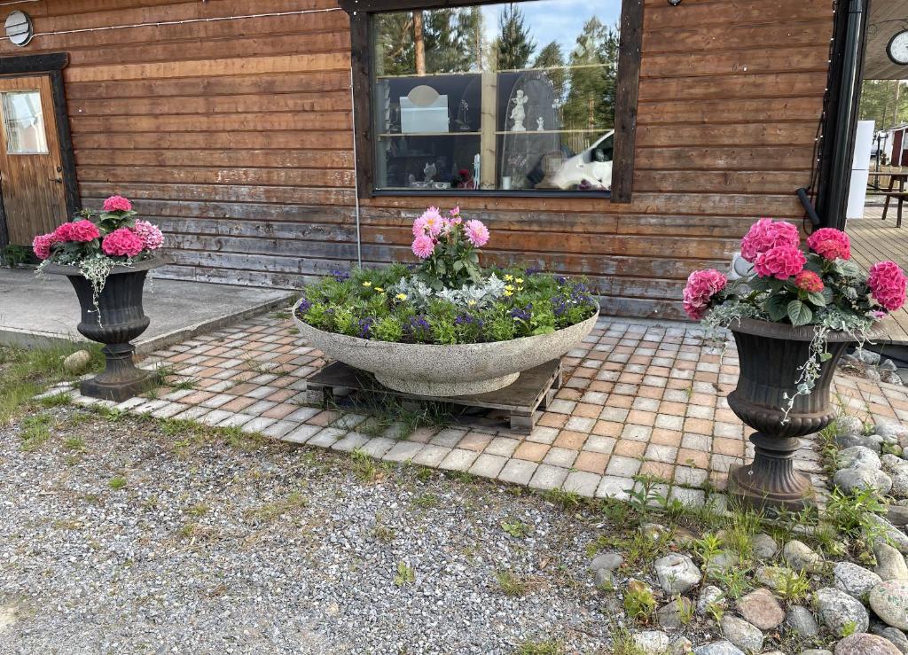 Angsjöns Camping photo 2