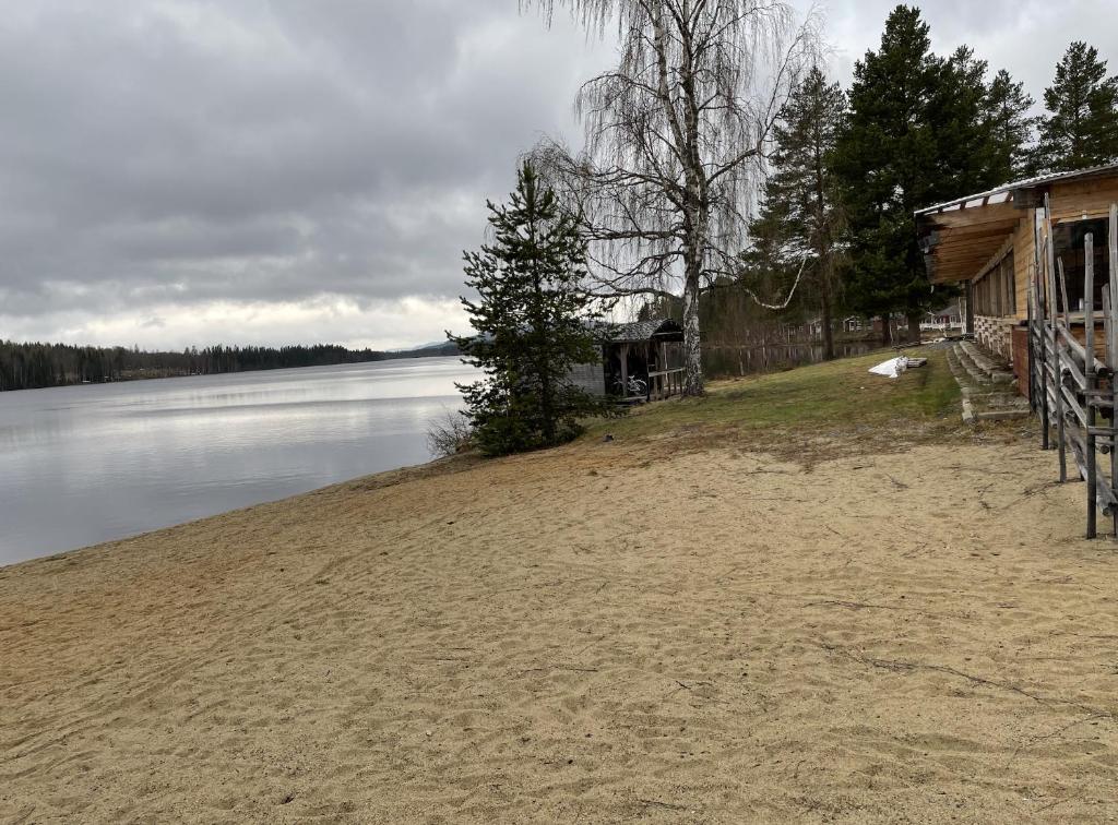Angsjöns Camping photo 4