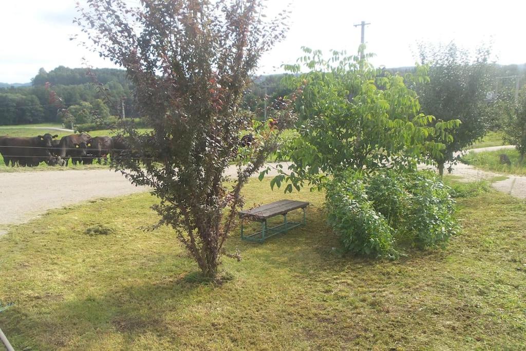 Bezbariérové ubytování na statku photo 3