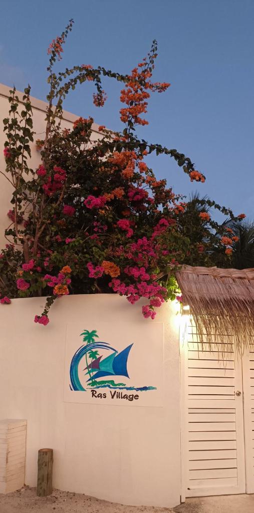Ras Village photo 2
