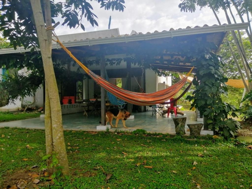 Donde Pulecia Casa de campo photo 3