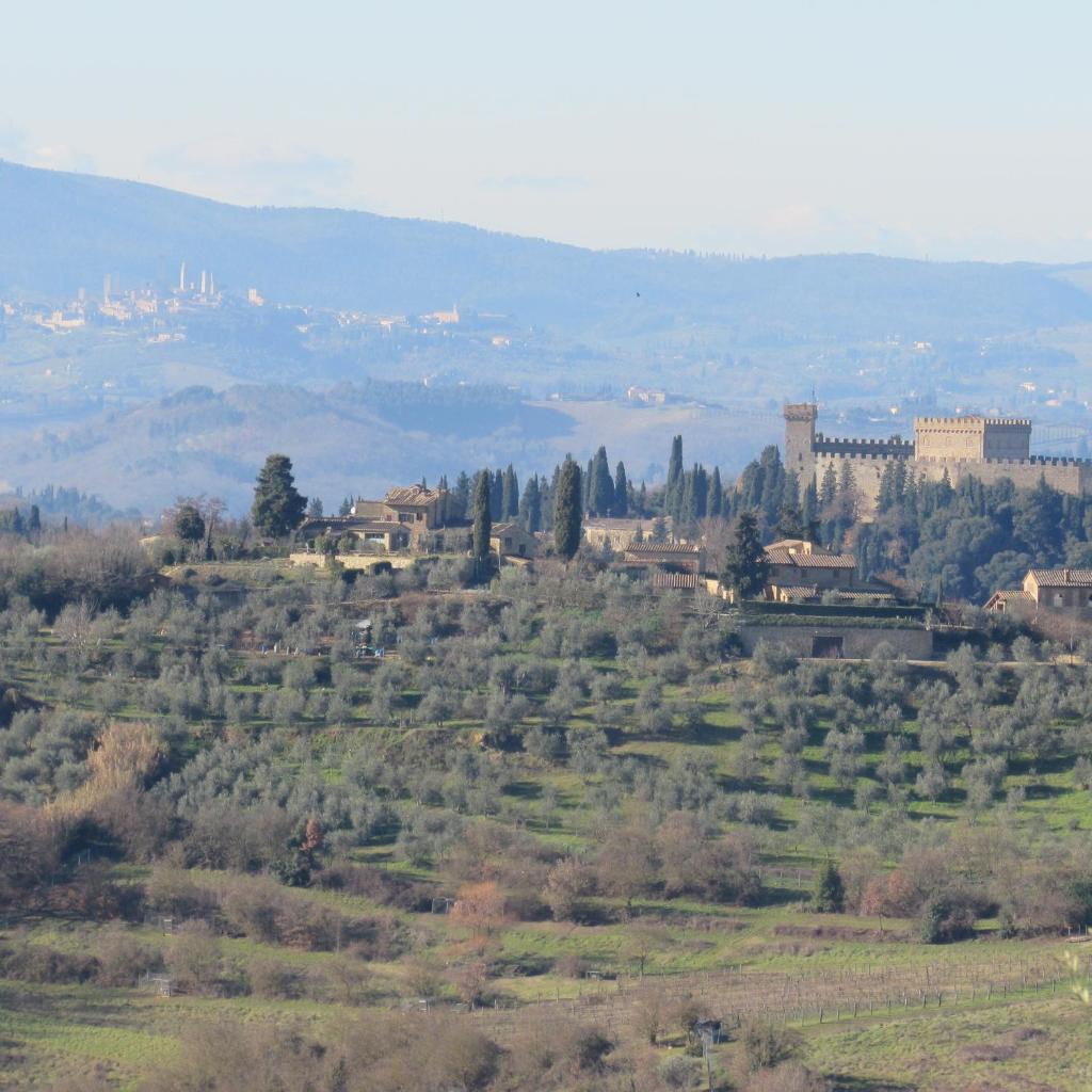 Mancino photo 2