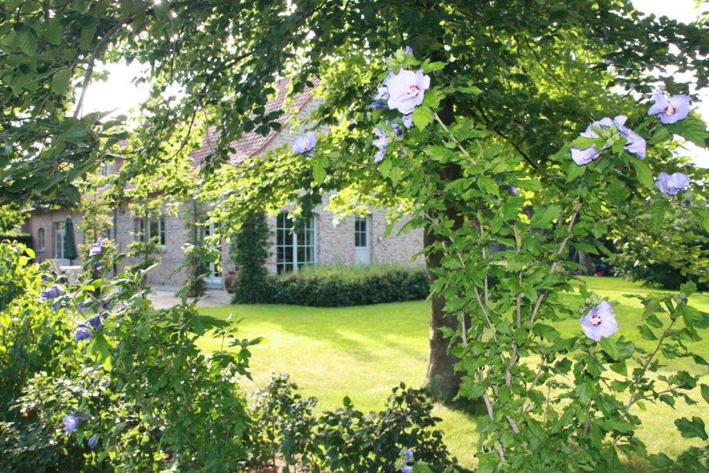 B&B Hooglandhoeve photo 3