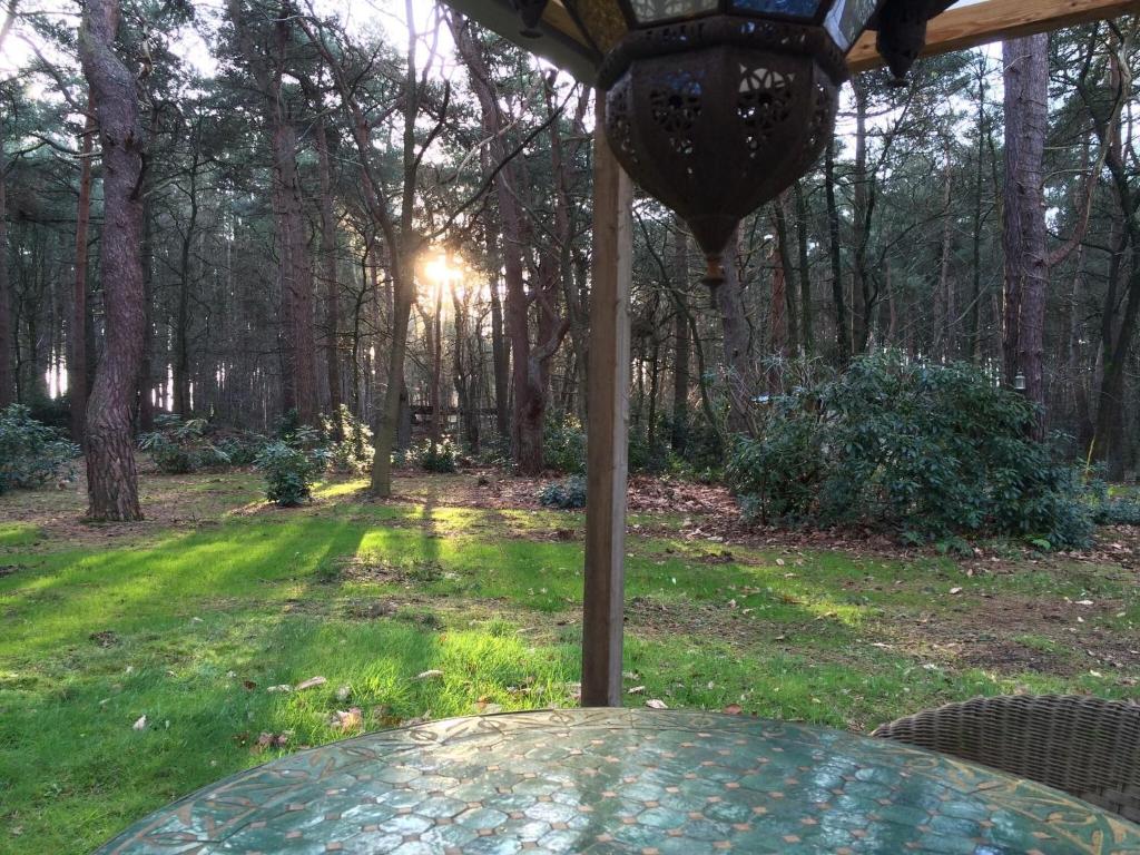 Tranquil bungalow in Lille with garden photo 4