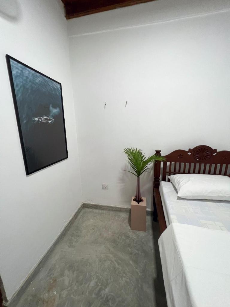 Komox Gedara photo 1