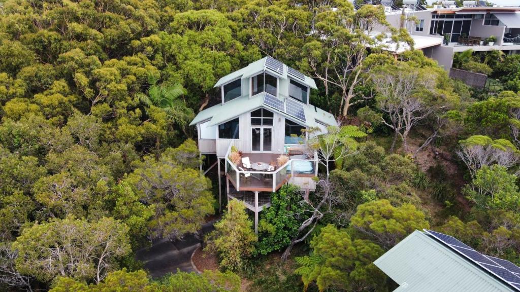 The Oasis Apartments and Treetop Houses photo 4