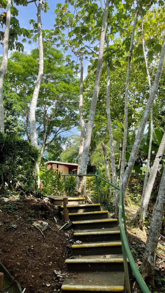Hotel Cerro Lodge photo 3