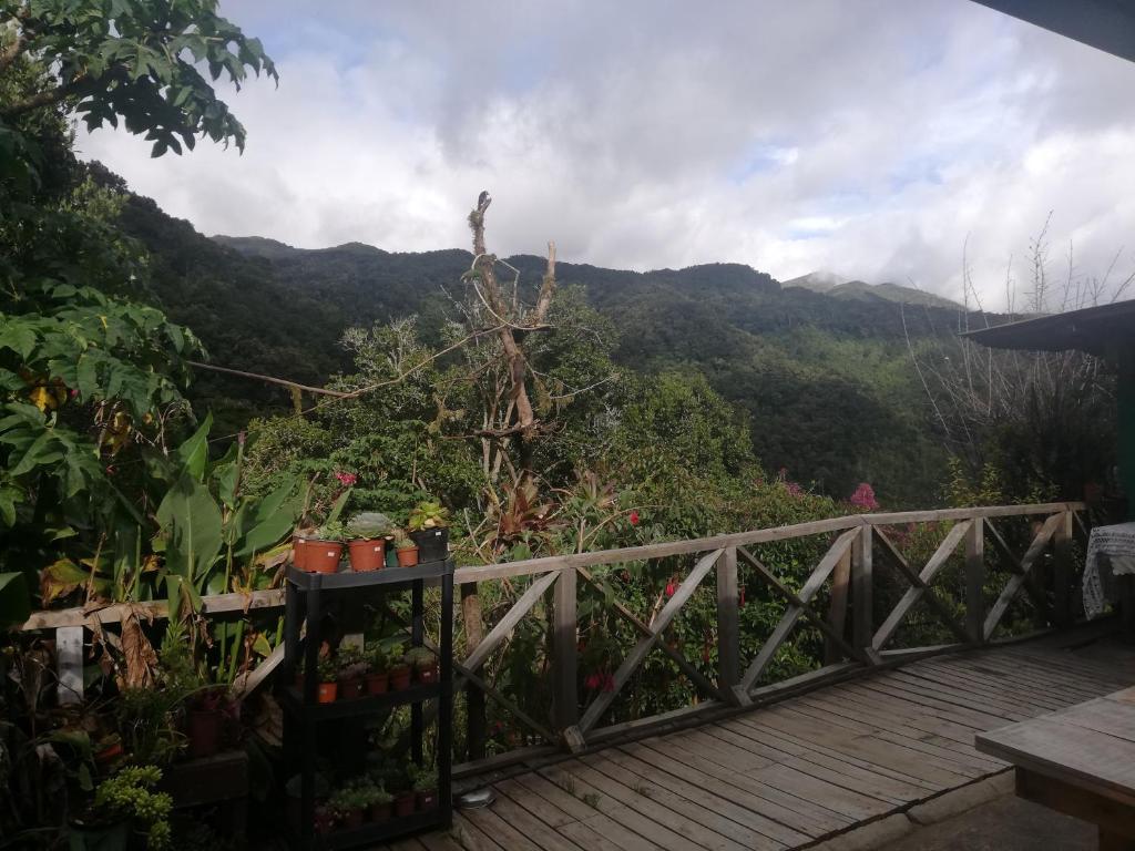 Cabañas San gerardo photo 4