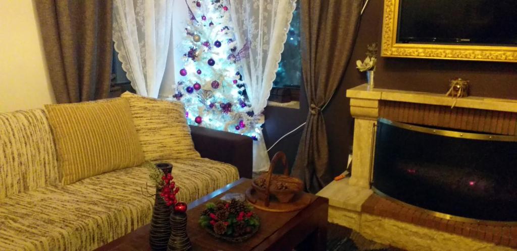 Elena's villa photo 1