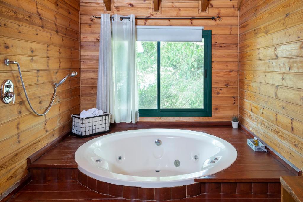 Nof Kineret Suites photo 3