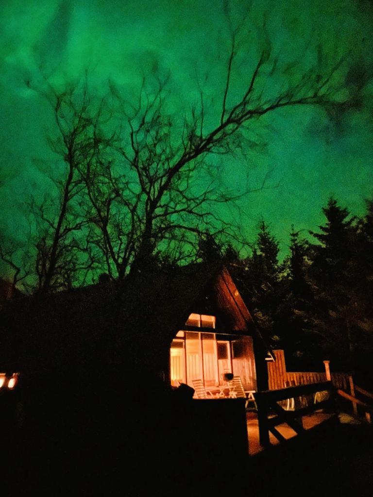 Bard Cottage photo 1