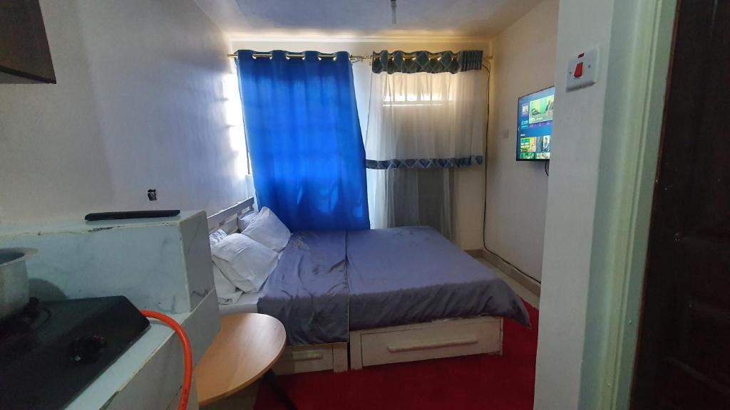 Cosy Palace photo 1