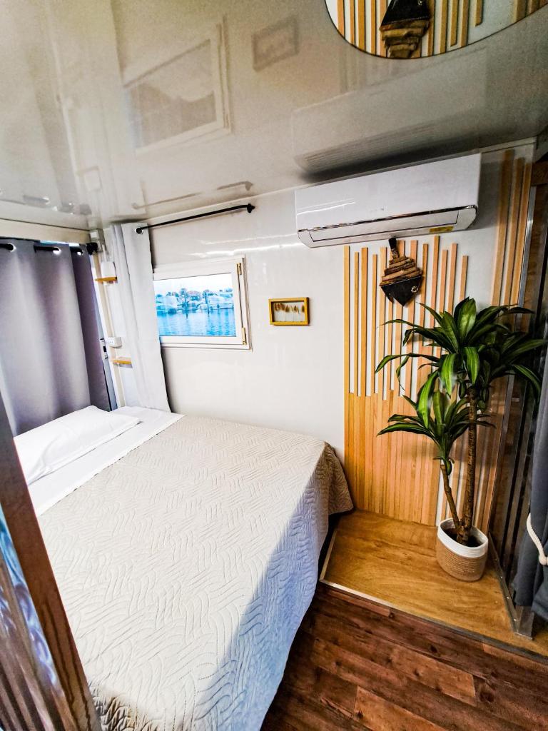 Floating home delta del po photo 2