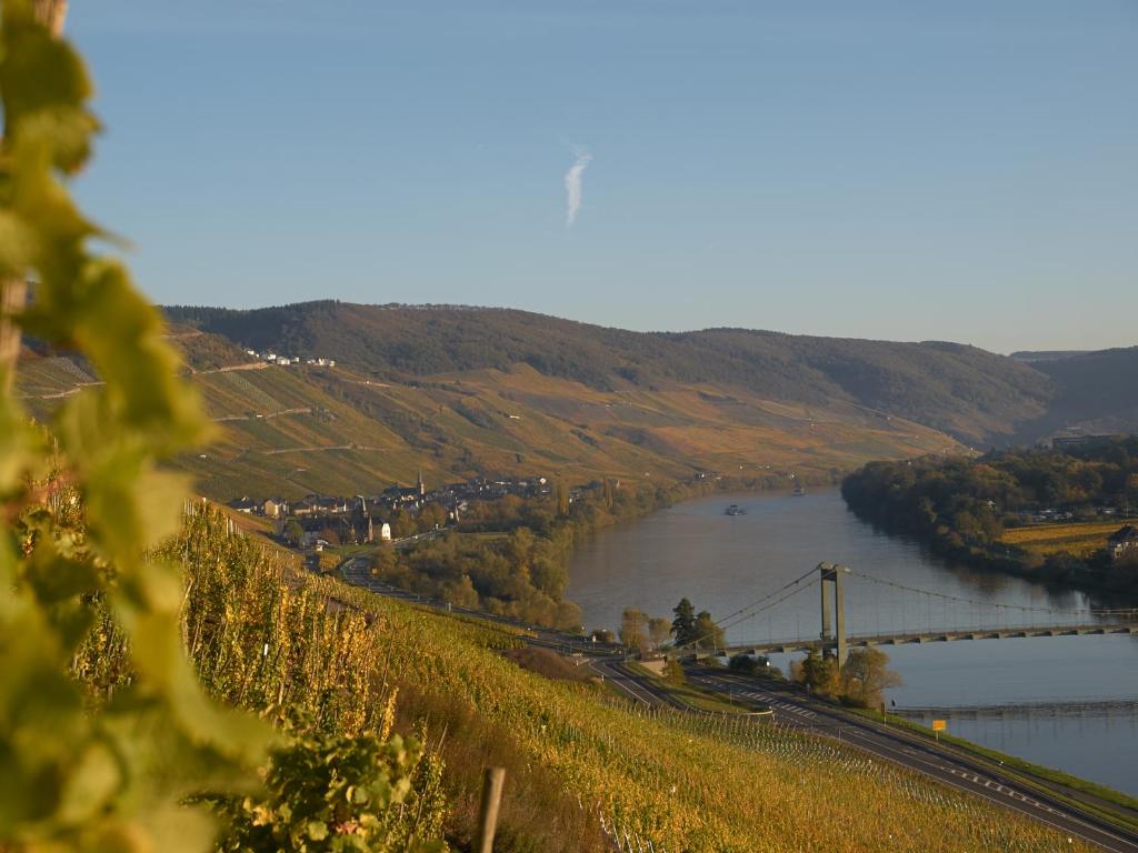 Wein- und Landhaus S A Prüm photo 2