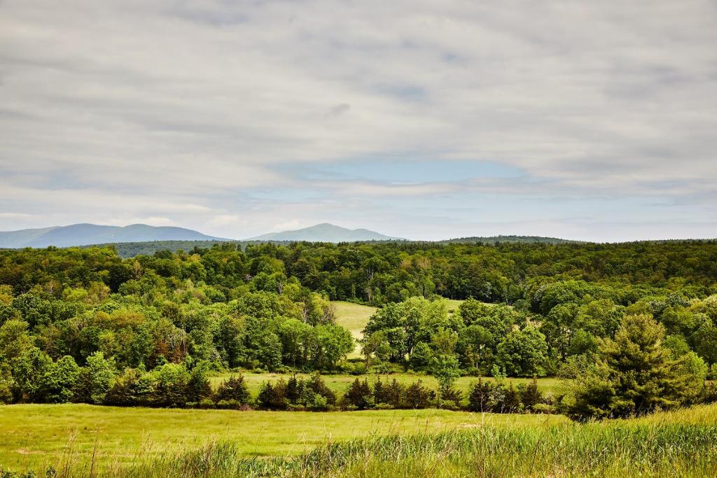 Inness image