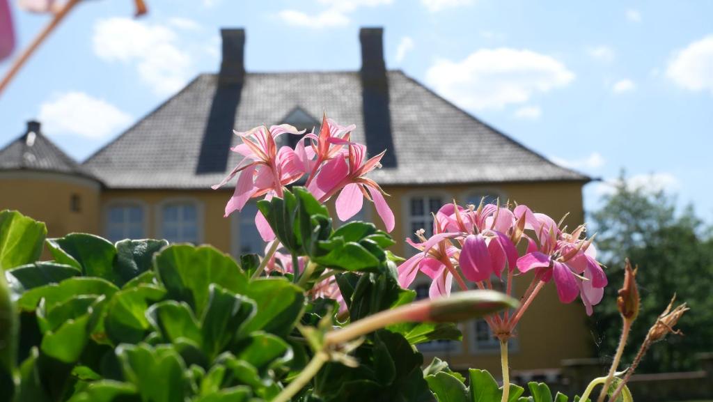 Hotel Schloss Diepenbrock photo 4