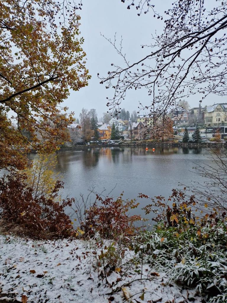 Haus am See photo 1