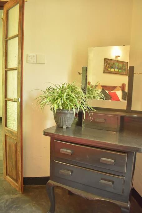 Woodlands Bungalow photo 1