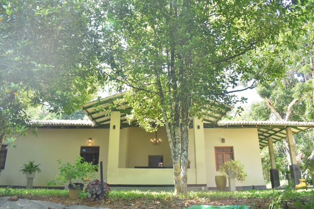 Woodlands Bungalow photo 2