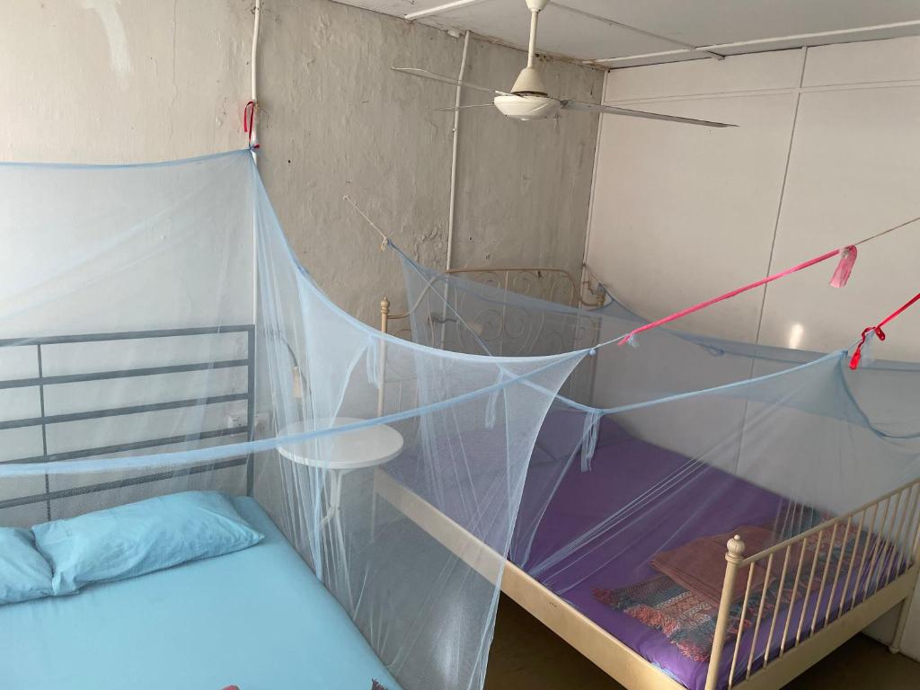 Voyage Home&Guesthouse photo 2