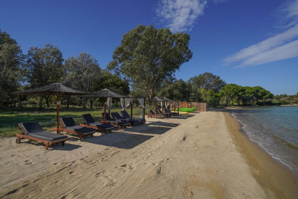 Serenity Estate photo 4