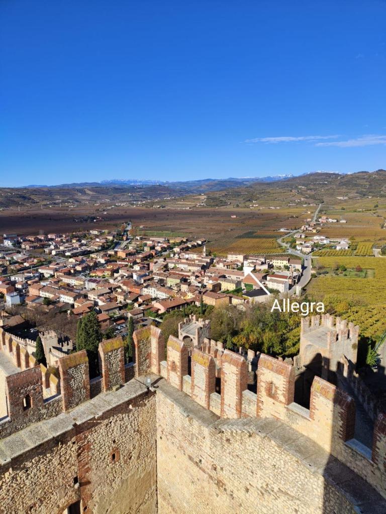 Stanza Allegra Soave photo 3