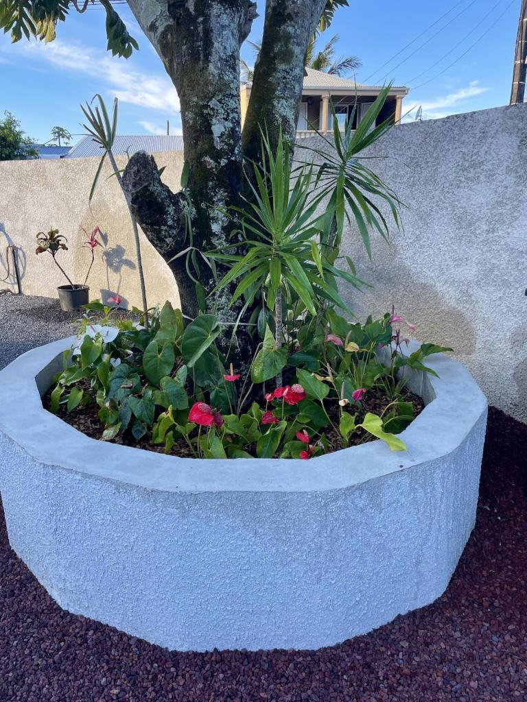Villa de 3 chambres avec jardin clos et wifi a Bras Panon photo 4