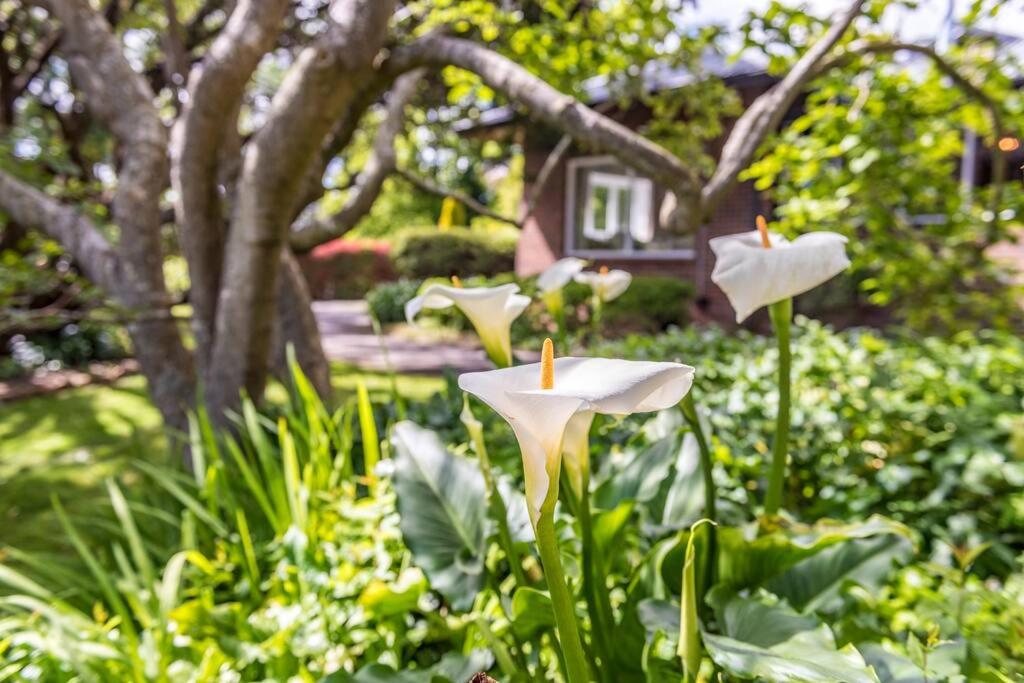Kerrisdale Bowral photo 4