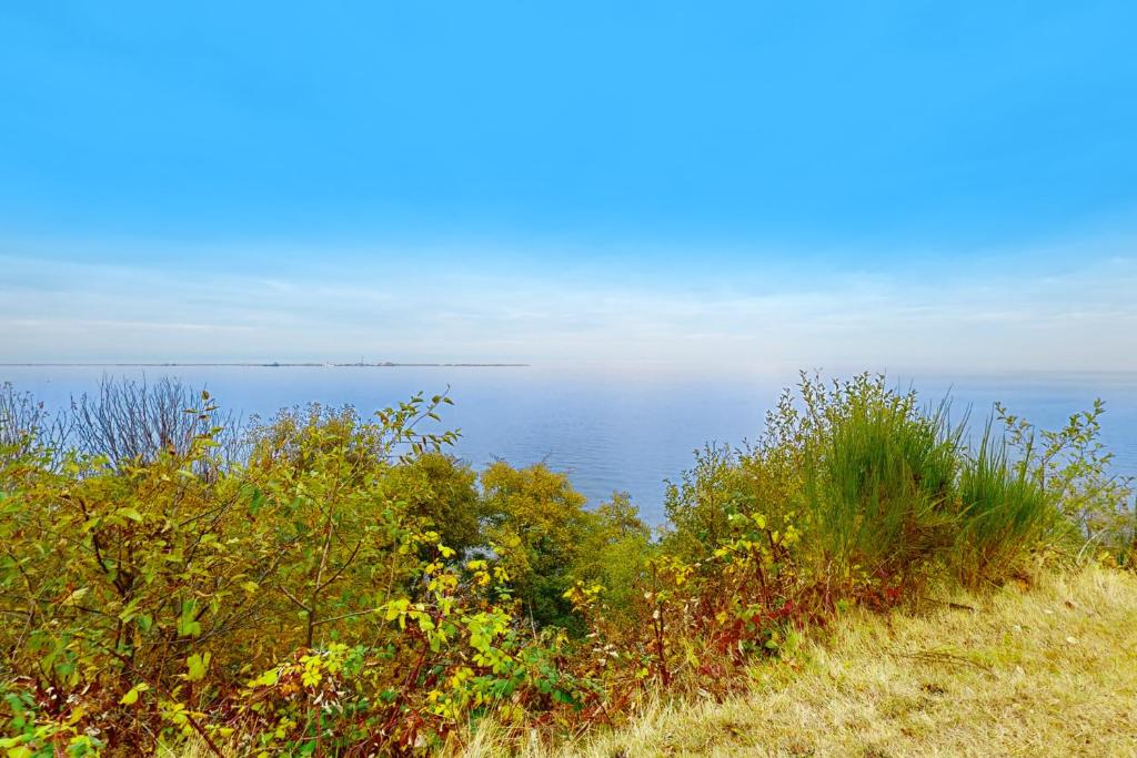 The Bluff Cottage photo 2