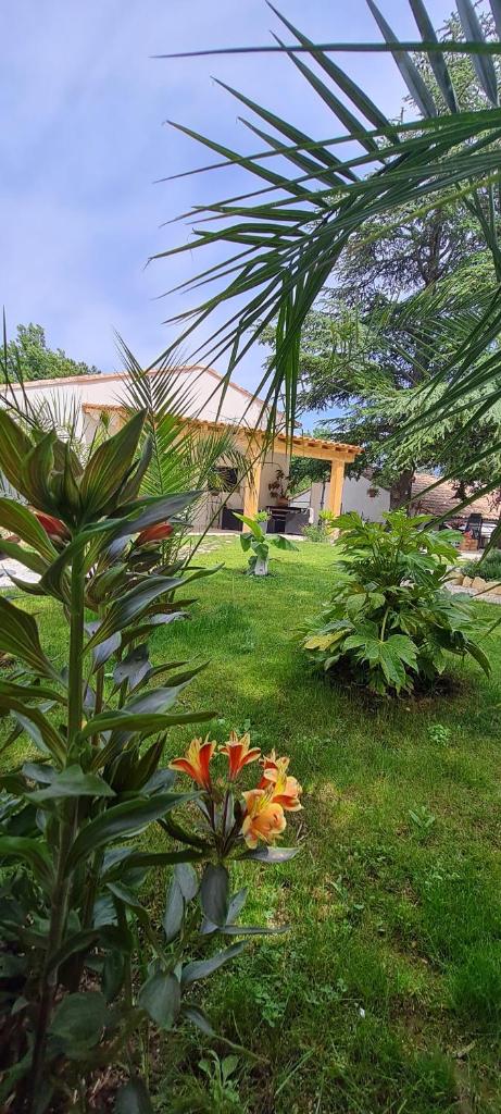 Gîte les 2 cèdres