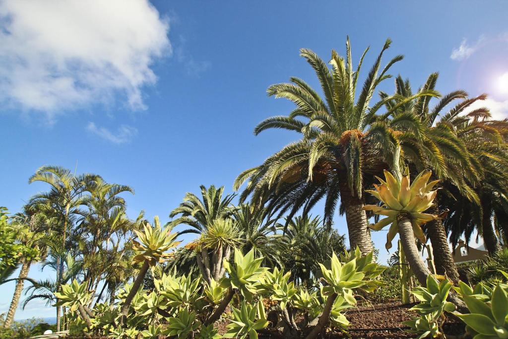 Finca Tocama photo 2