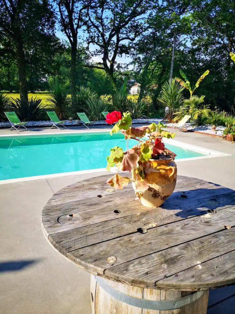 Villa de 7 chambres avec piscine privee jardin amenage et wifi a Saint Jean de Marsacq photo 1