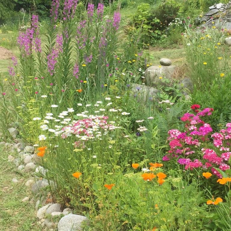 Cozy ,artistic cottage in a garden setting close to the beach and hiking trails. photo 1