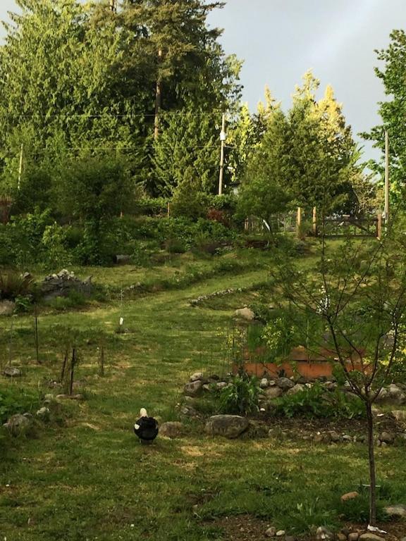 Cozy ,artistic cottage in a garden setting close to the beach and hiking trails. photo 2