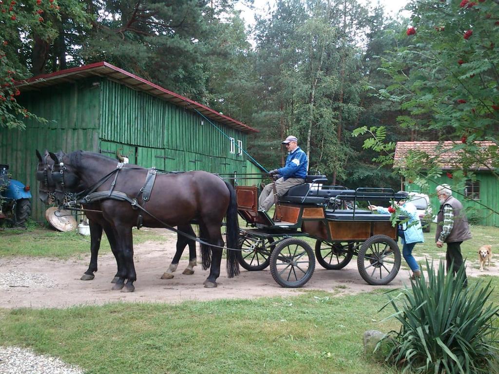 Olchowy Młyn photo 2