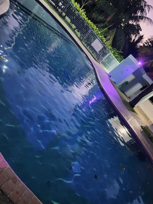 Fall in Love to Endless Summer. Charm and Private photo 4
