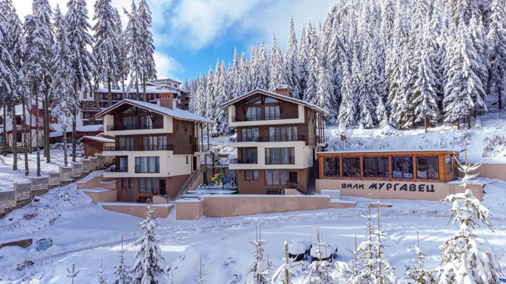 Boutique Villas Murgavets Pamporovo photo 3