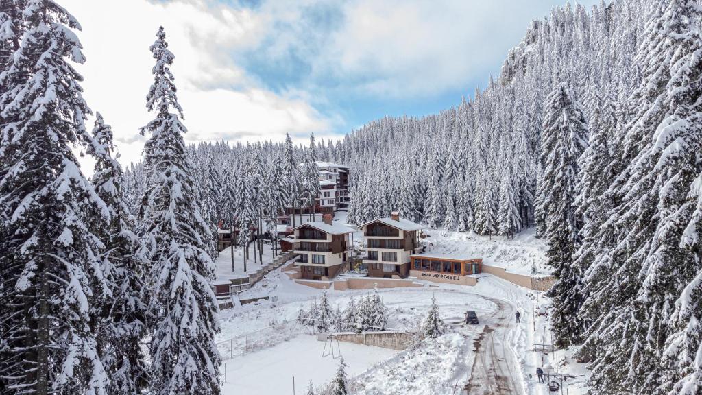 Boutique Villas Murgavets Pamporovo photo 4