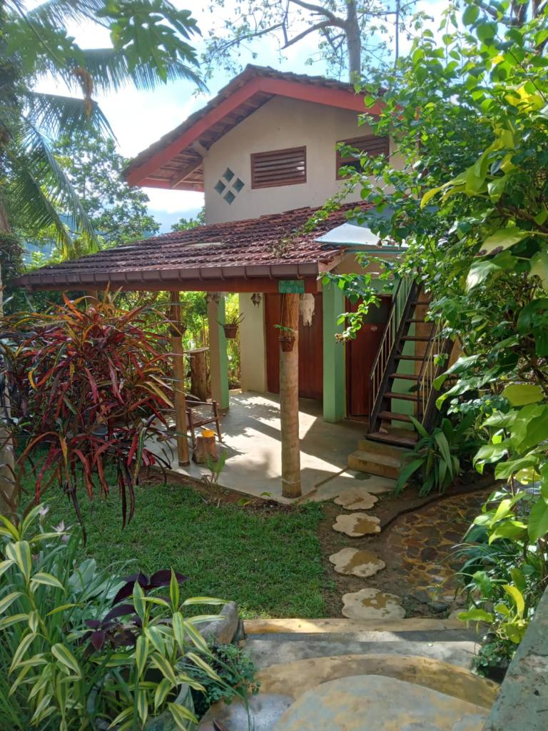 Natural Mystic Sanctuary photo 3