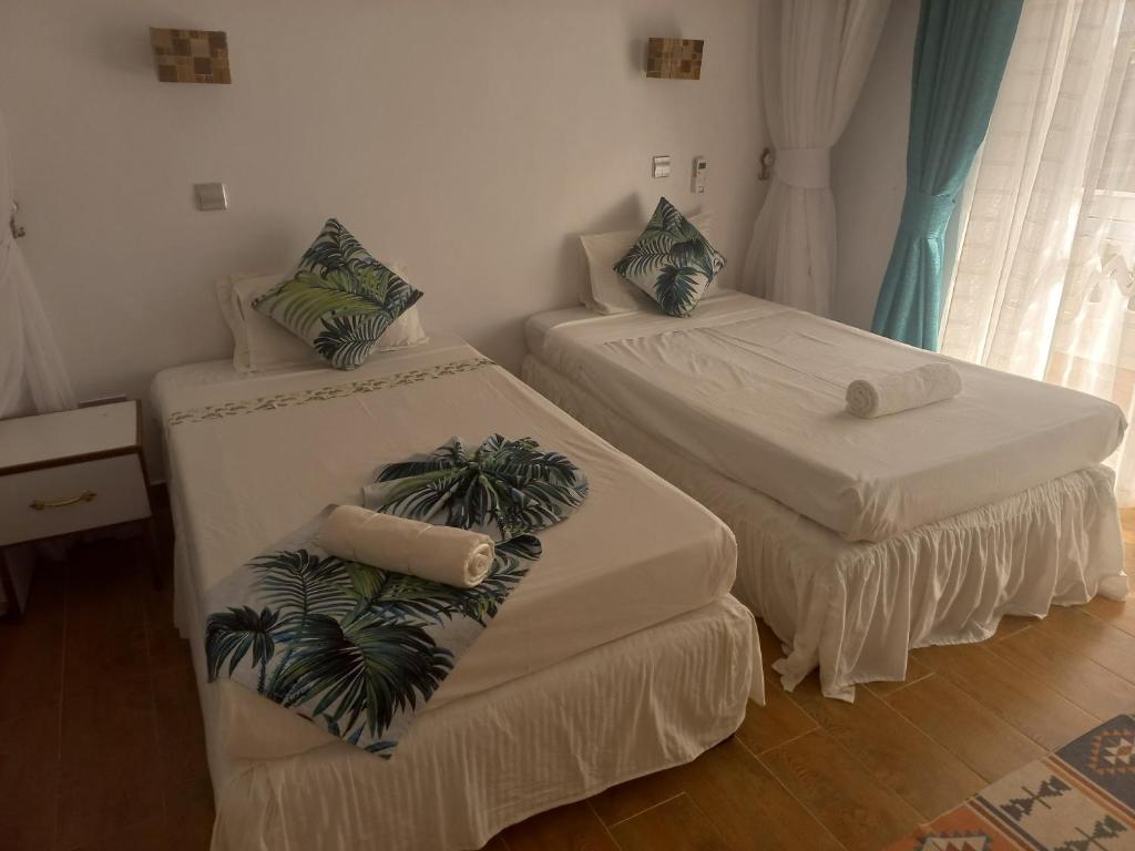 Villa Duran - 5 bedrooms photo 3